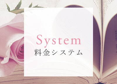 料金システム